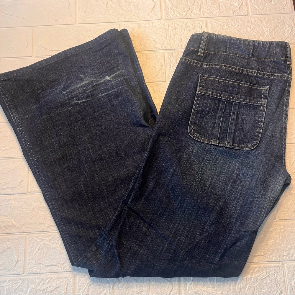 Women’s Limited Editiom Gap Blue Denim Jeans size 10 inseam 30
